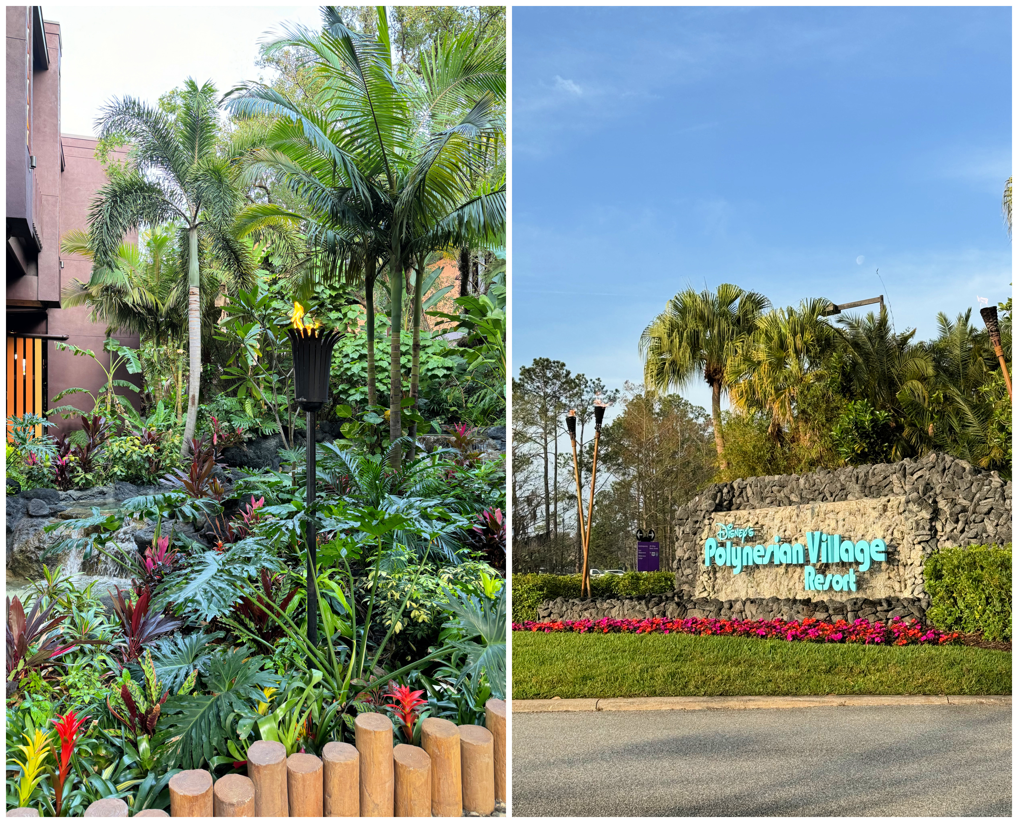 caravan sonnet- disney world resort