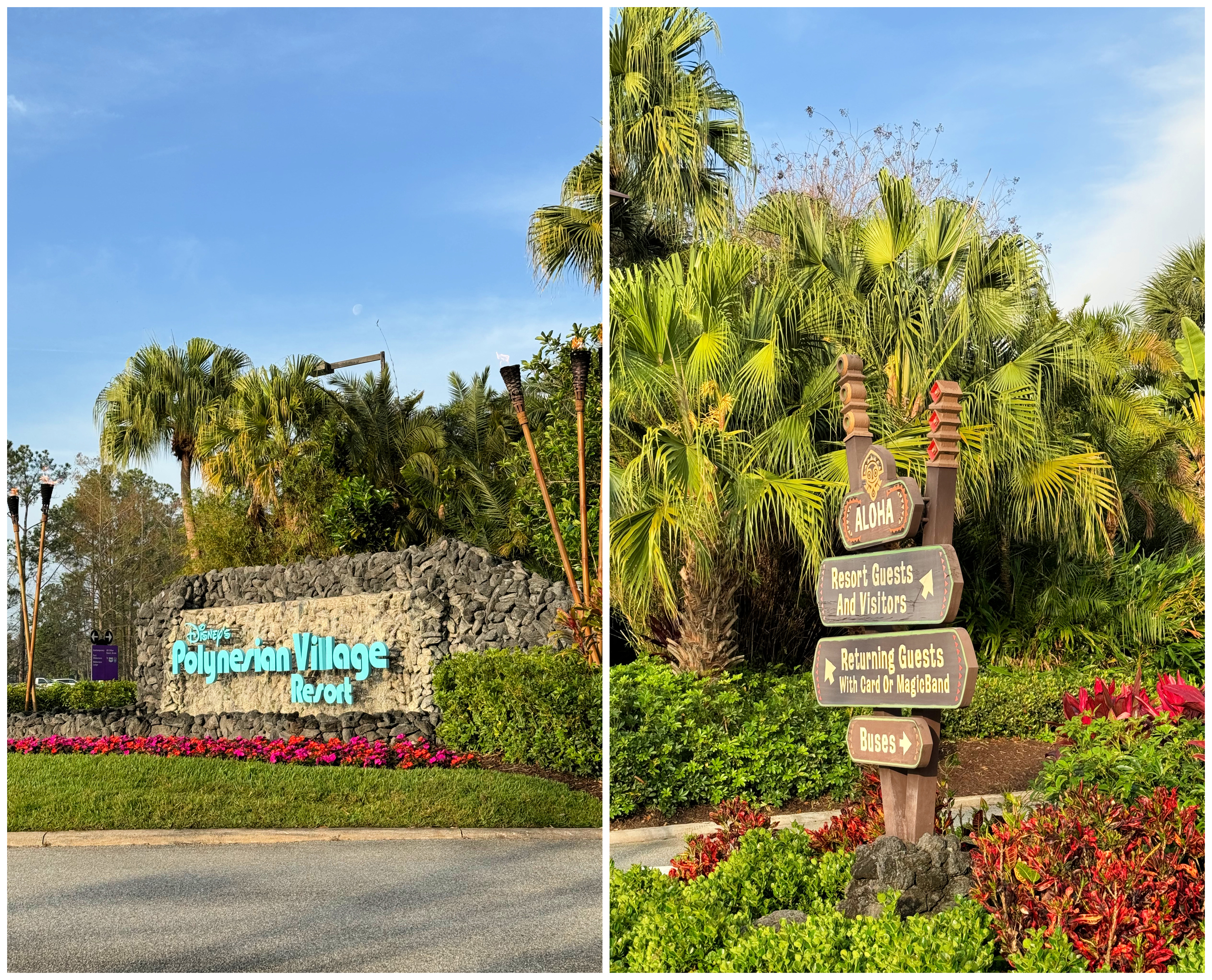 caravan sonnet- disney world resort